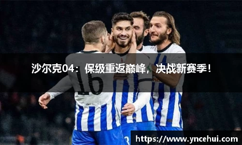 沙尔克04：保级重返巅峰，决战新赛季！