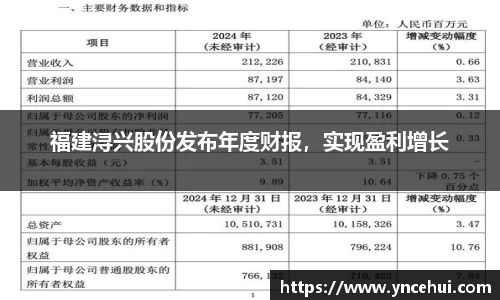 福建浔兴股份发布年度财报，实现盈利增长