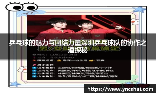 乒乓球的魅力与团结力量深圳乒乓球队的协作之道探秘