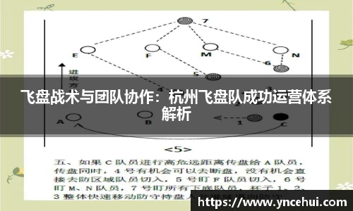 飞盘战术与团队协作：杭州飞盘队成功运营体系解析