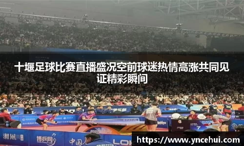 十堰足球比赛直播盛况空前球迷热情高涨共同见证精彩瞬间